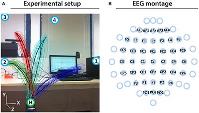 Decoding Imagined 3D Hand Movement Trajectories From EEG: Evidence to Support the Use of Mu, Beta, and Low Gamma Oscillations